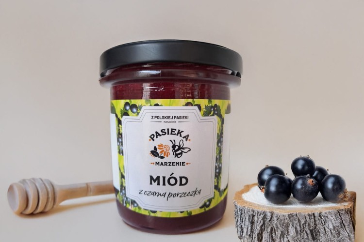 Czarna porzeczka_1.jpg