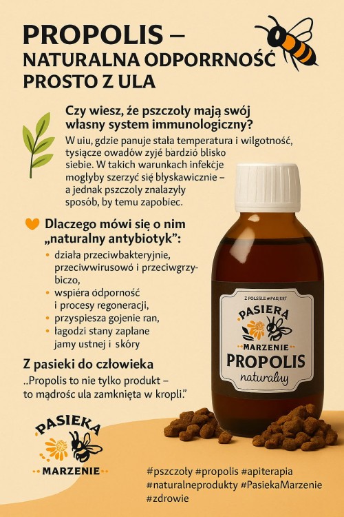 ChatGPT Image 2 lis 2025, 20_57_49.jpg